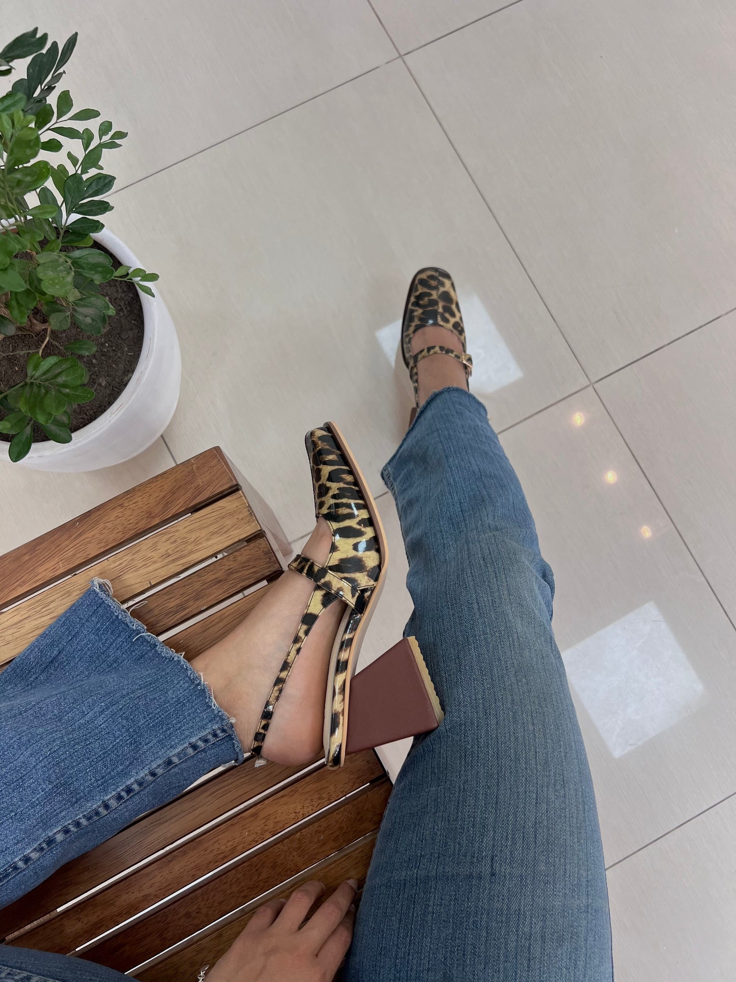 Mary Jane Dansey Cheeta