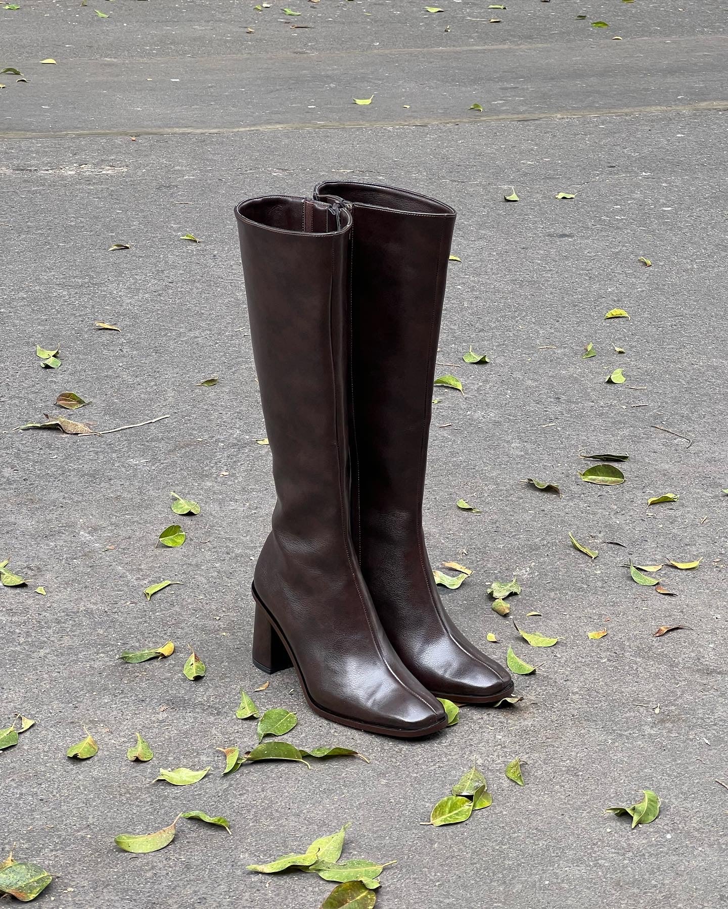 Clarck Boots Coffee