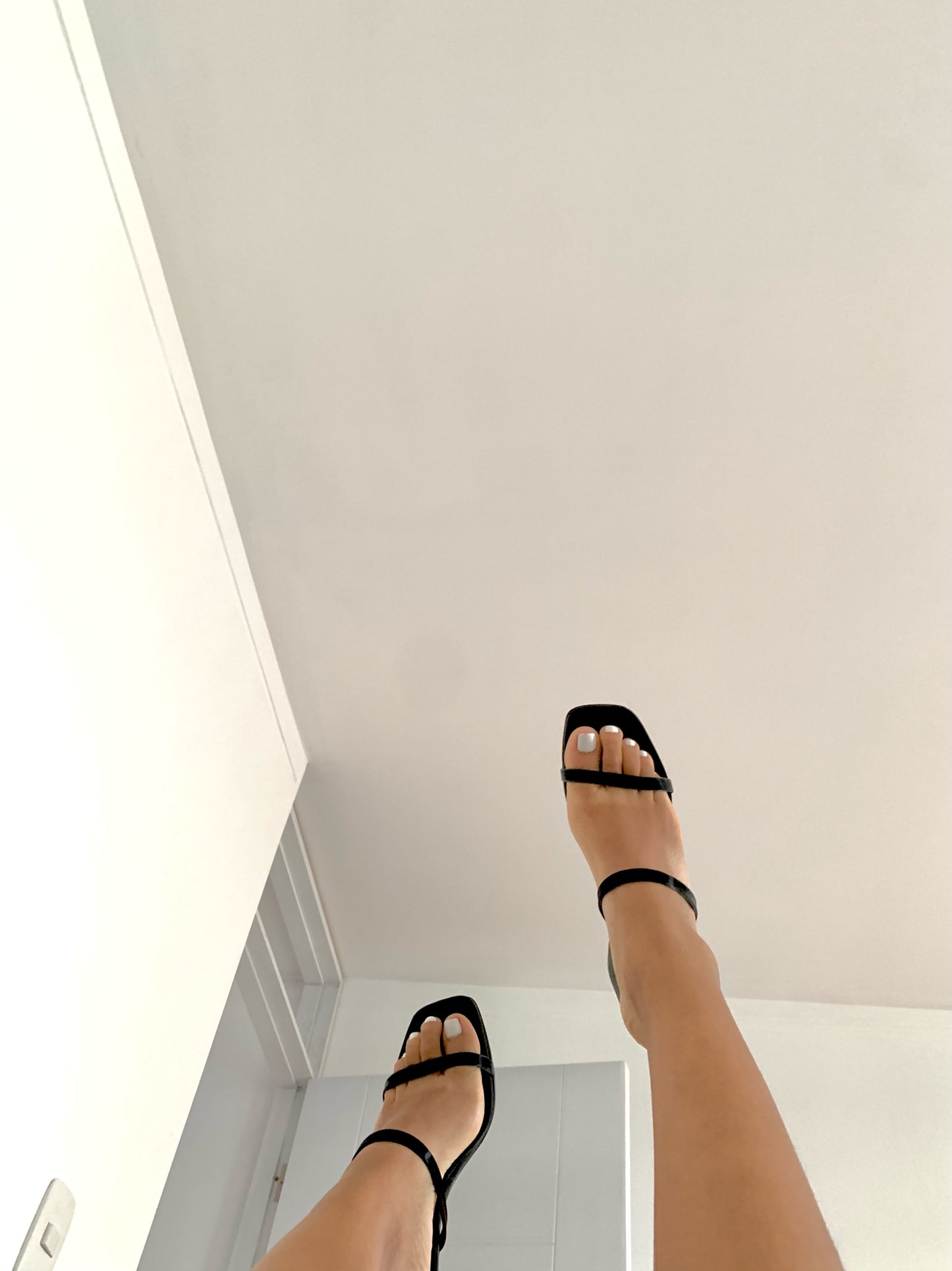 Bounty Black