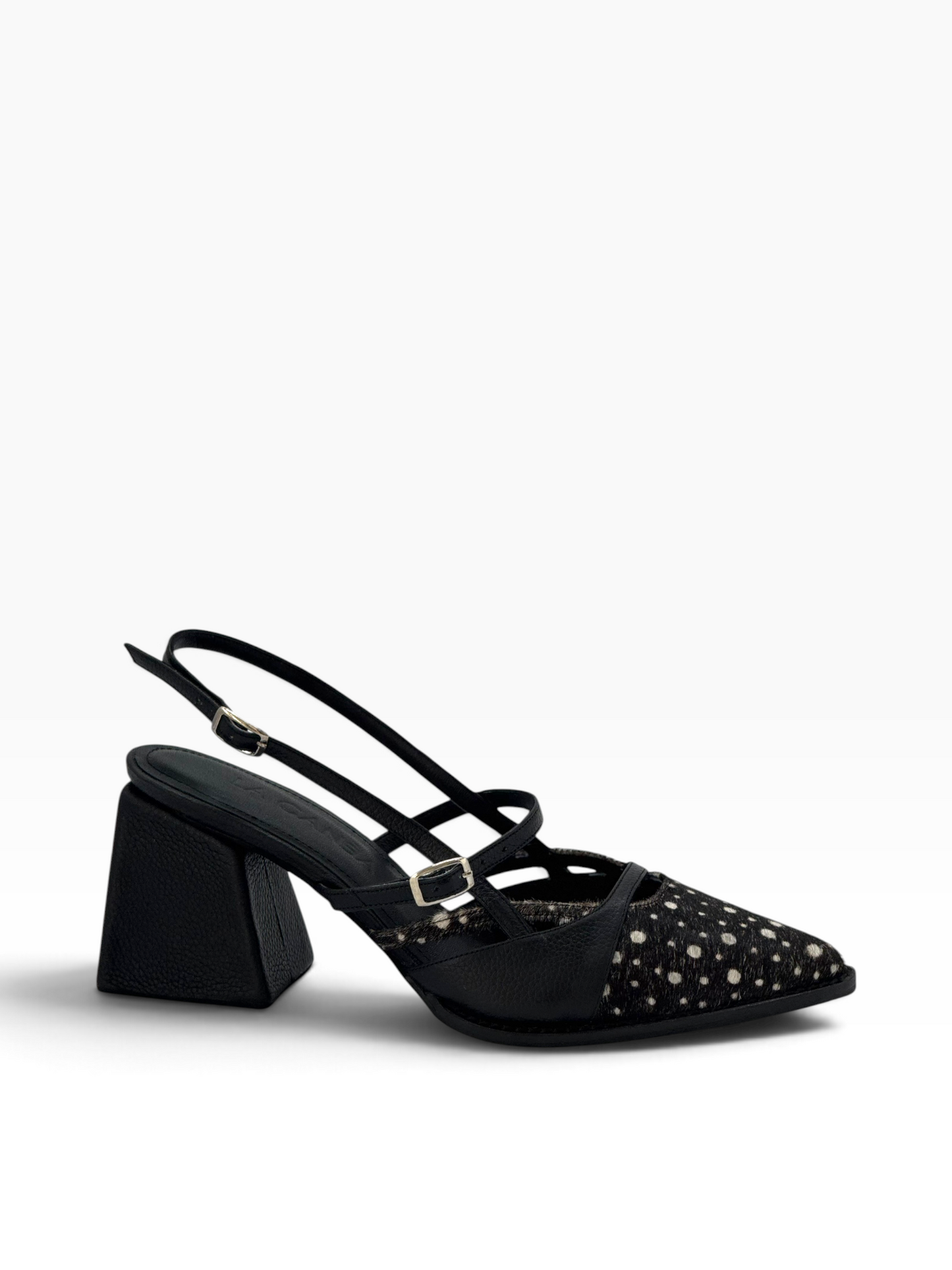 Mary Jane Dammer Polka