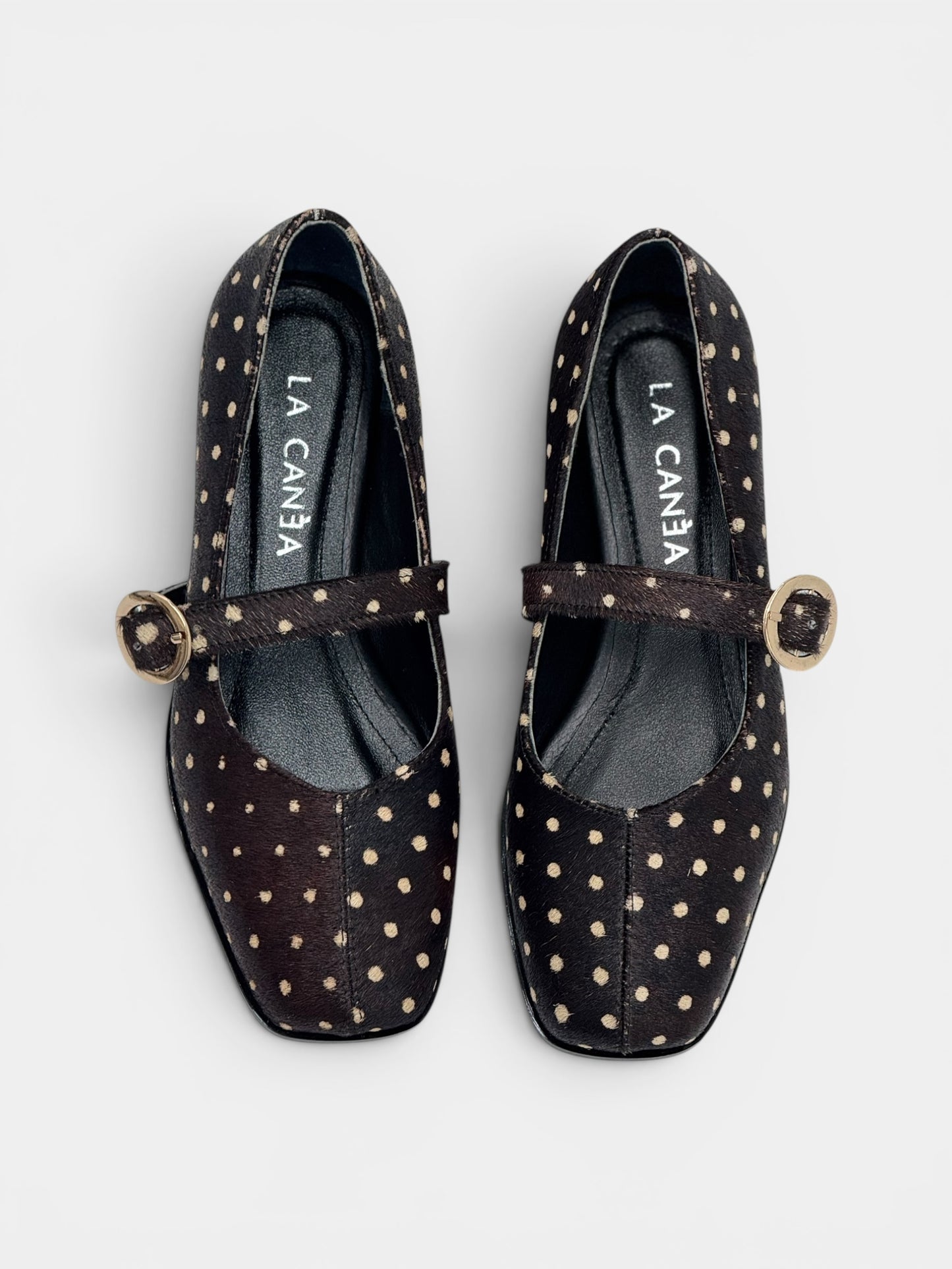 Balerinas Greene Polka