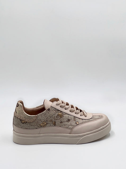 Zapatilla Woolf Cream & Gold