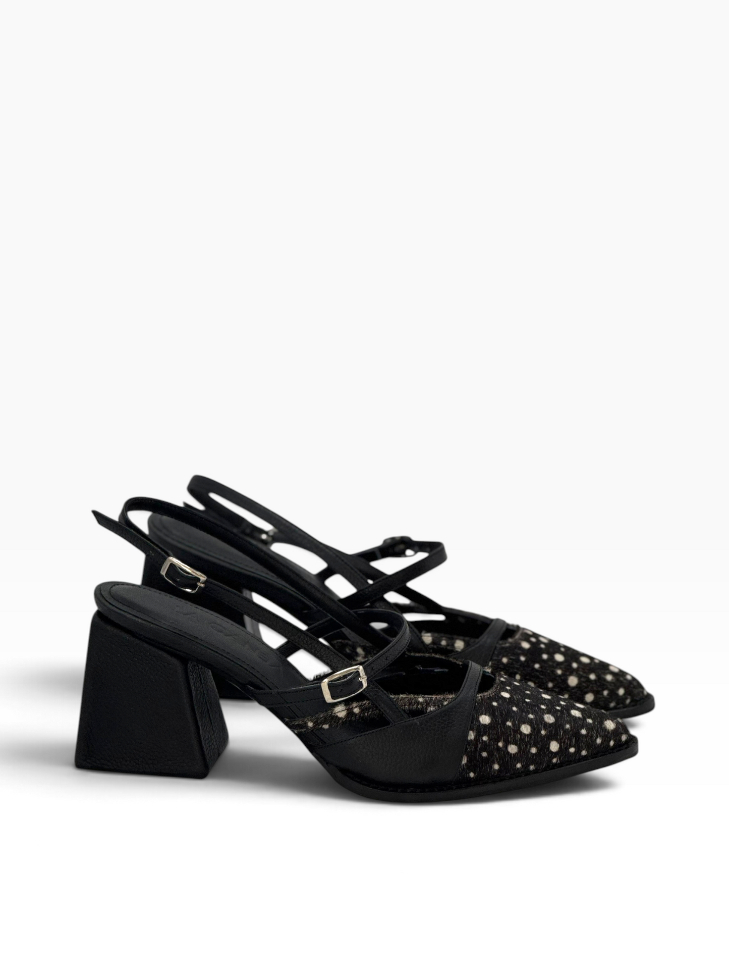 Mary Jane Dammer Polka