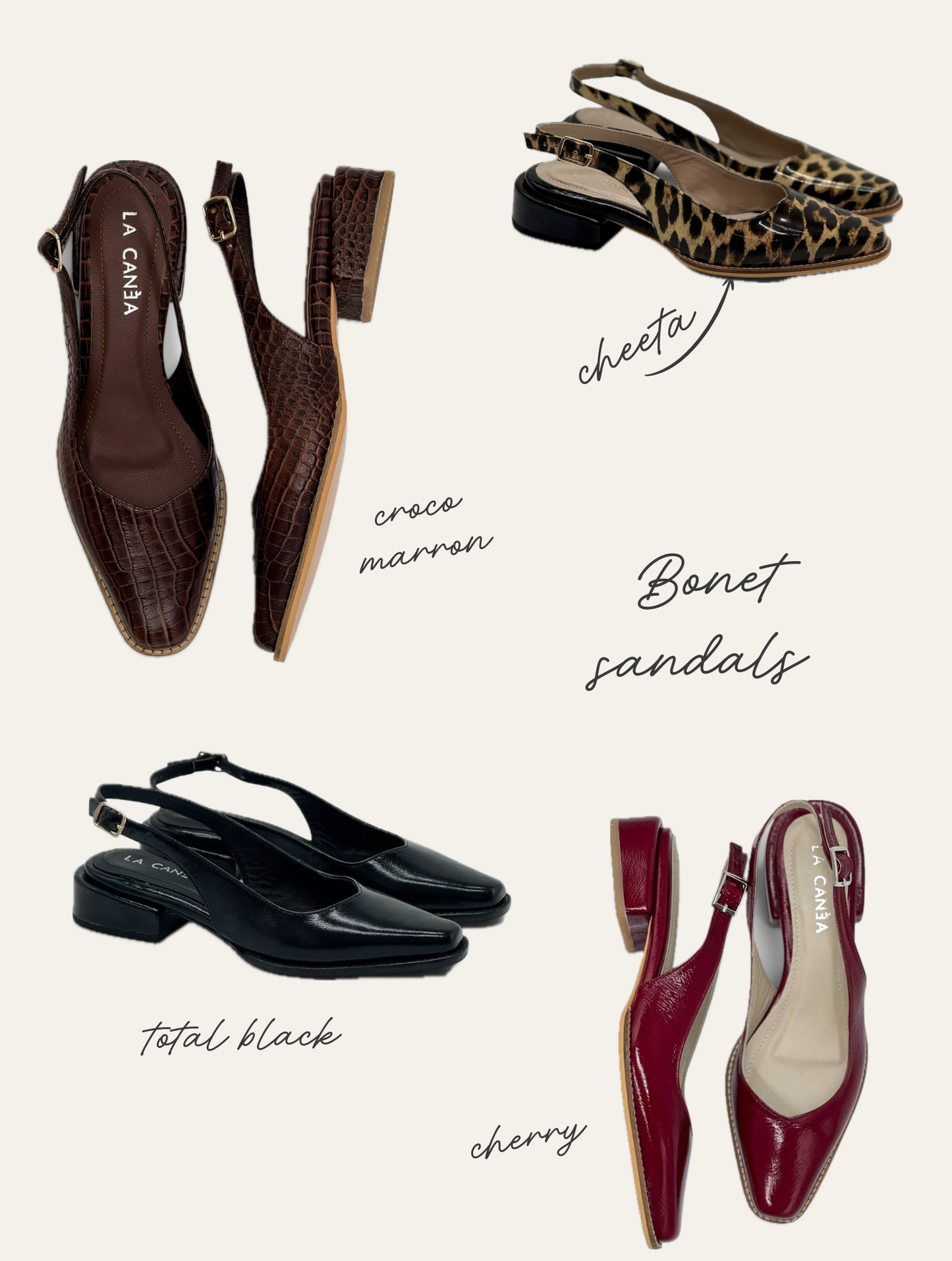 PACK BONET - THE TEX