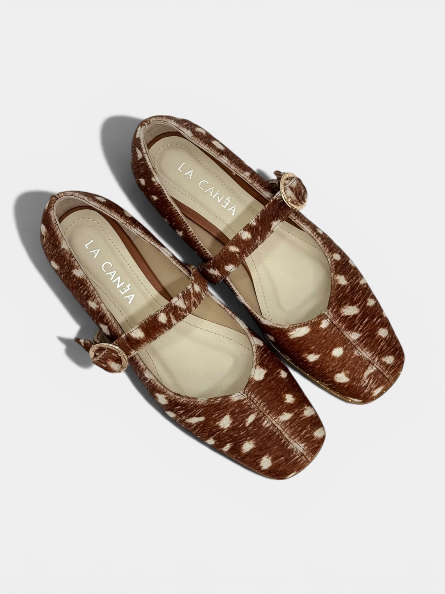Balerinas Greene Bambi
