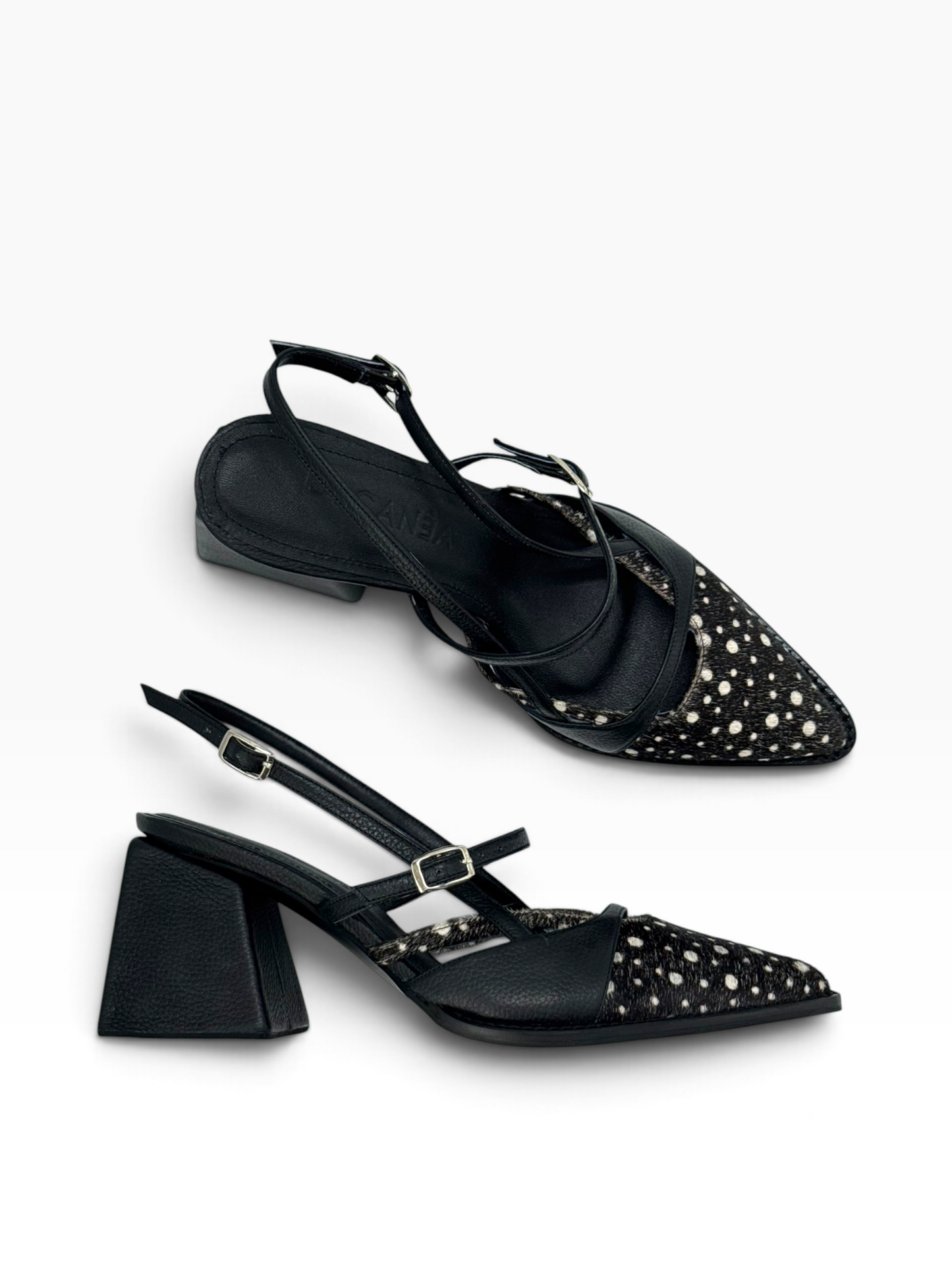 Mary Jane Dammer Polka