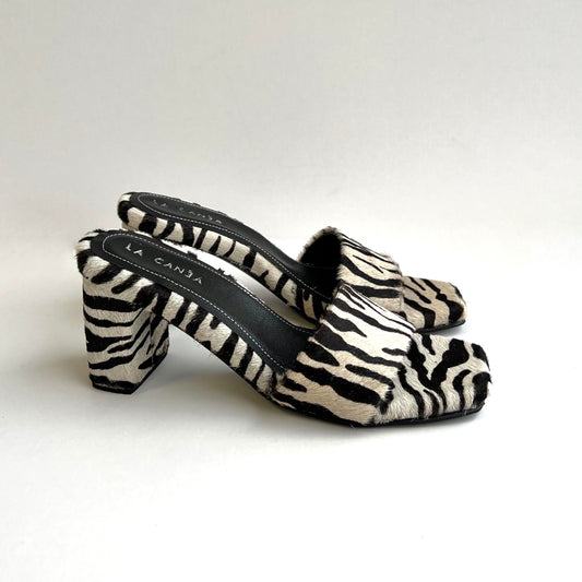 Saint George Zebra